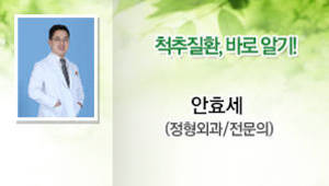 척추질환, 바로 알기! 안효세 (정형외과/전문의)