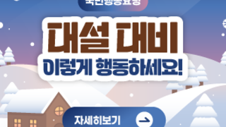 국민행동요령 대설대비 이렇게 행동하세요! 자세히보기