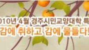 4월 경주시민교양대학 특집 테마여행 '감에 취하고 감에 물들다'