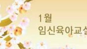 임신 중 태아의 초음파 검사