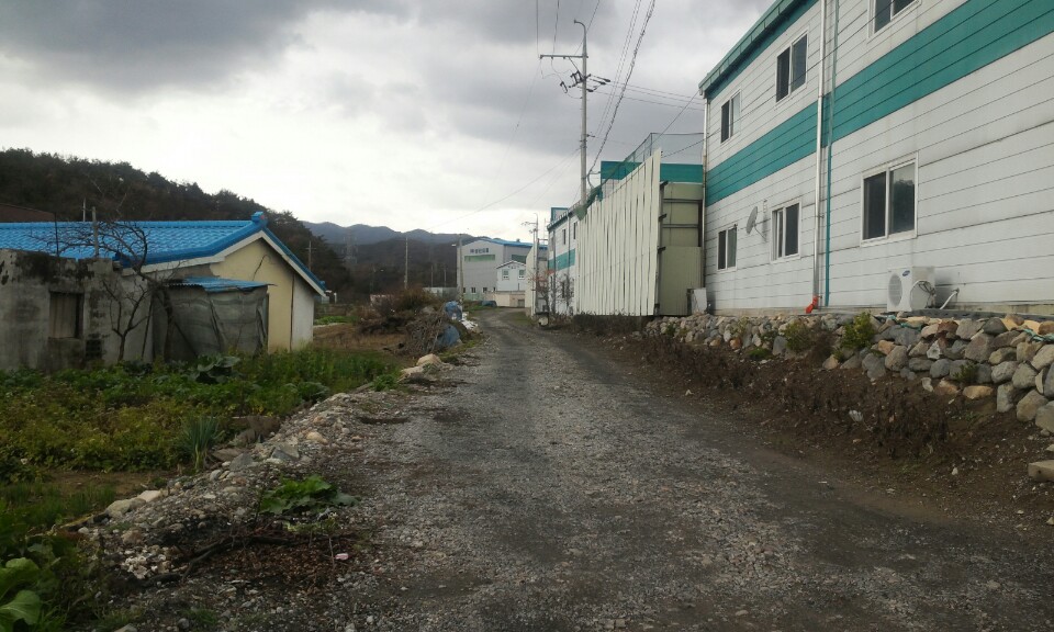 용산1리와 문덕2리 사이 샛길.jpg