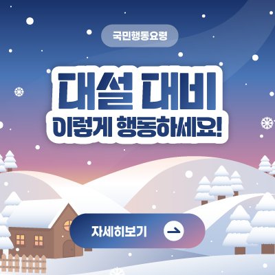 국민행동요령 대설대비 이렇게 행동하세요 자세히보기