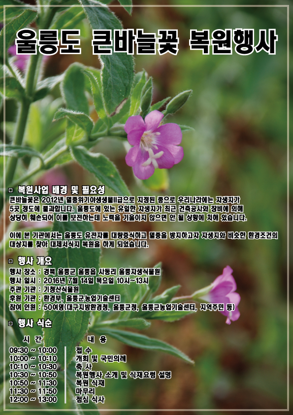 큰바늘꽃 복원 행사.jpg