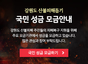 강원도 산불피해돕기 국민 성금 모금안내 강원도 산불피해 주민들의 피해복구 지원을 위해 주요 모금기관에서 성금을 모금하고 있습니다.많은 관심과 참여 부탁드립니다. 국민 성금 모금하기