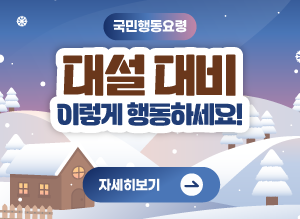 국민행동요령 대설대비 이렇게 행동하세요! 자세히보기
